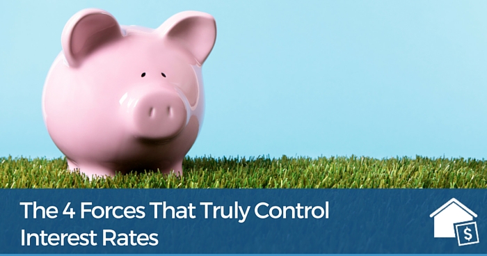 Photo of Piggy bank with subtitle The 4 Forces That Truly Control Interest Rates