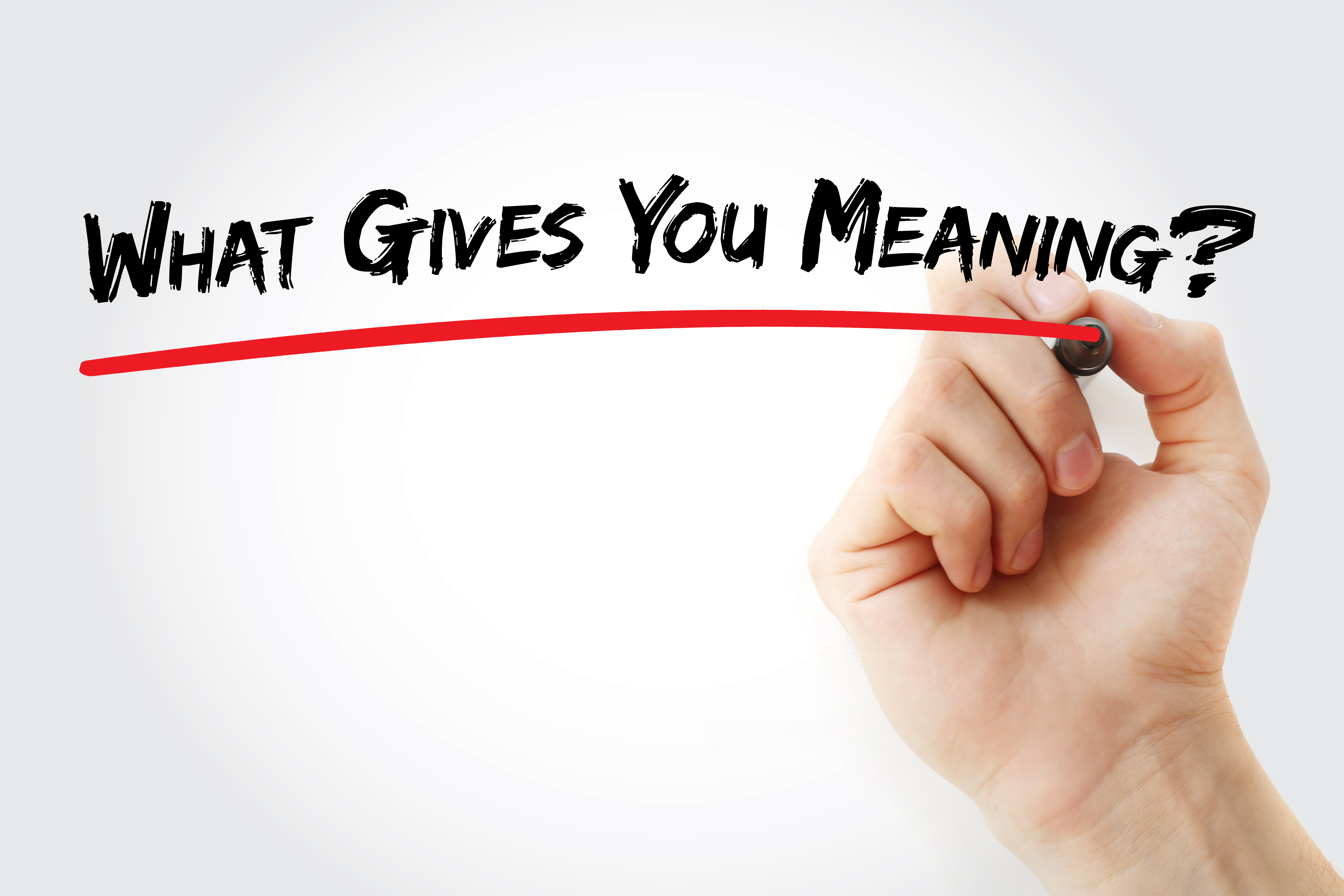 Image with the question What gives you meaning written - represents that Property Millionaire only do what gives them meaning